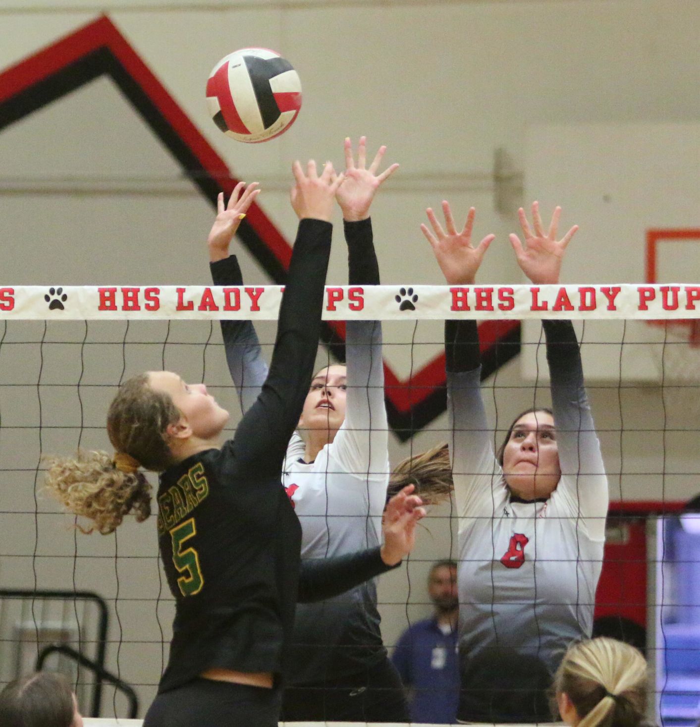 Golden Bears open season with victory over Bullpups